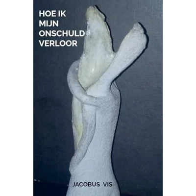 Afbeelding van Hoe ik mijn onschuld verloor