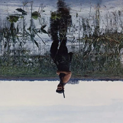 Afbeelding van Animal Drowning