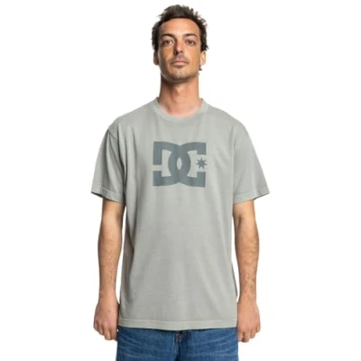 Afbeelding van DC Shoes Pigment DYE HSS Tshirt print, Heren, Maat: Medium, Sgbw pelican enzyme wash