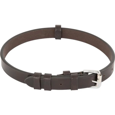 Afbeelding van BR Riempje 19mm Kaakbeschermer Bruin/Zilver Full