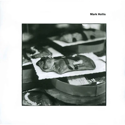 Afbeelding van Mark Hollis (CD)