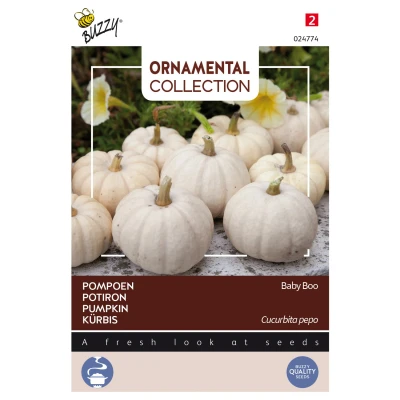 Afbeelding van Ornamental Pompoen Baby Boo Buzzy