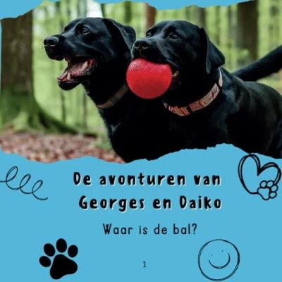 Afbeelding van Waar is de bal?