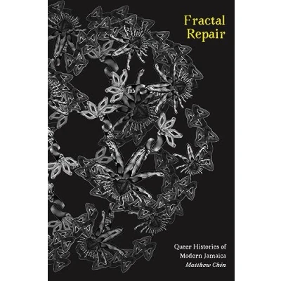 Afbeelding van Perverse Modernities: A Series Edited by Jack Halberstam and Lisa Lowe Fractal Repair