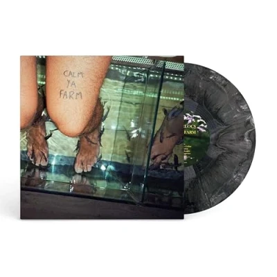 Afbeelding van Murlocs Calm Ya Farm (LP)