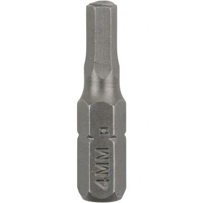 Afbeelding van Bosch Accessories Inbus bit 4 mm C 6.3 2 stuk(s)
