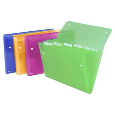 Afbeelding van Sorteermap Rexel Ice 6 vaks assorti