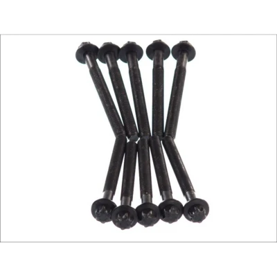 Afbeelding van ELRING 373.320 Cilinderkopbouten Buiten Torx RENAULT: GRAND SCENIC 3, MASTER 2 Pritsche/Fahrgestell, ESPACE 4, OPEL: Vivaro A Van, NISSAN: X Trail