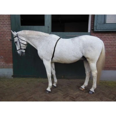 Afbeelding van Horka Longeerhulp Zwart Pony