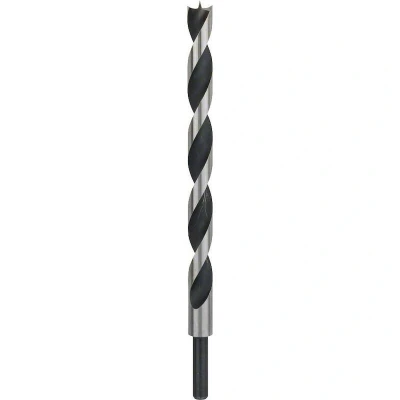 Image de BOSCH 2608597192 machine mèche à bois avec pointe M 16 x 250 mm, d 10 mm