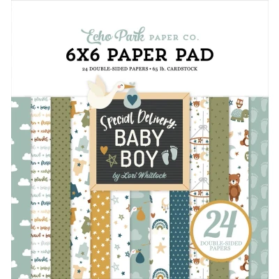Afbeelding van Echo Park Special Delivery Baby Boy 6x6 Inch Paper Pad (SDB353023)