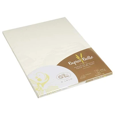 Image de G.Lalo 20 Feuilles A4 200g Paille Naturelle