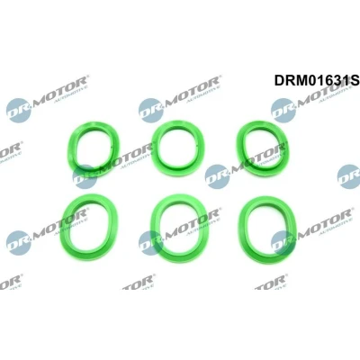 Afbeelding van Pakkingset, inlaatspruitstuk Dr.Motor Automotive DRM01631S