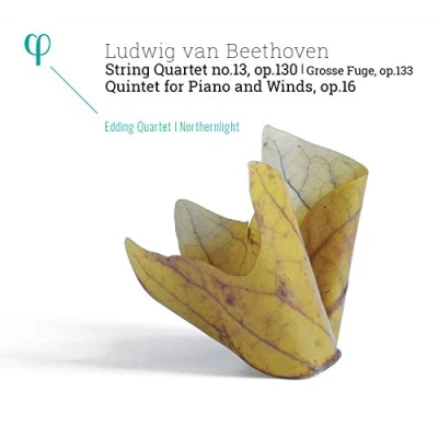 Afbeelding van Edding Quartet, Nothernlight String Op.130 L Grosse Fuge, Op (CD)
