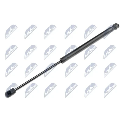 Afbeelding van NTY AE AU 011 Gasveer achterklep 310 405