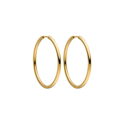 Afbeelding van PURELEI® Echo oorbellen (goud, zilver, roségoud), waterdichte voor dames, creolen, roestvrij staal, cadeau 40 mm diameter, rvs, Geen edelsteen