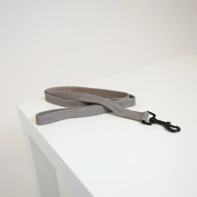 Image de Kentucky Laisse pour Chien Lézard Beige 120cm