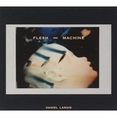 Afbeelding van Flesh And Machine