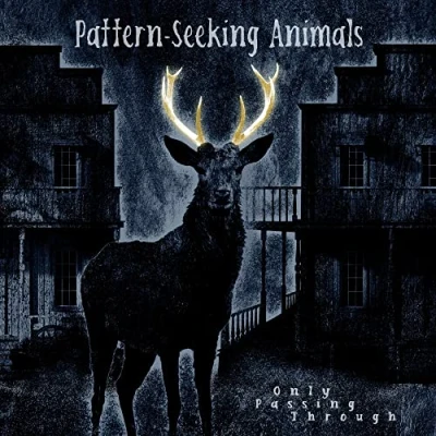 Afbeelding van Pattern Seeking Animals Only Passing Through (3 LPs)