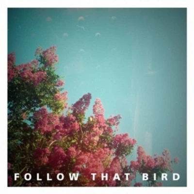 Afbeelding van Follow That Bird Wooden Bones (7&quot; Vinyl Single)