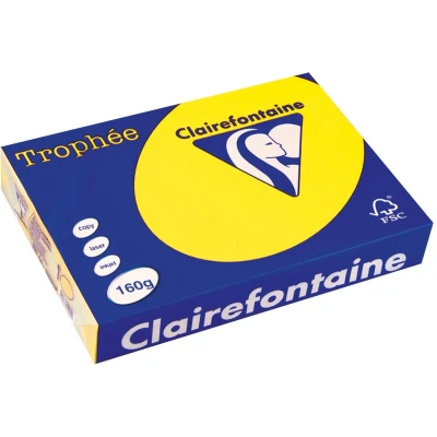 Afbeelding van Clairefontaine Trophée Intens, Gekleurd Papier, A4, 160 G, 250 Vel, Zonnegeel Papier