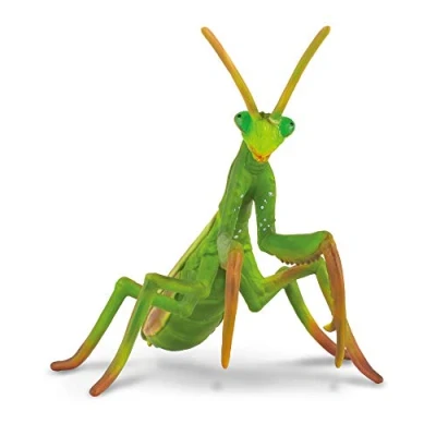 Afbeelding van Collecta Insecten (L): BIDSPRINKHAAN 10.4x9.5cm