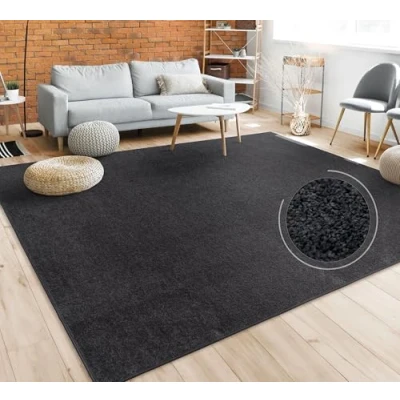 Afbeelding van Paco Home Vloerkleed Woonkamer Effen Eenvoudig En Modern Laagpolig, Versch. Afmetingen Kleuren 160x220 cm