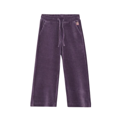 Afbeelding van Noppies Broek Palo Grape Compote Maat 92