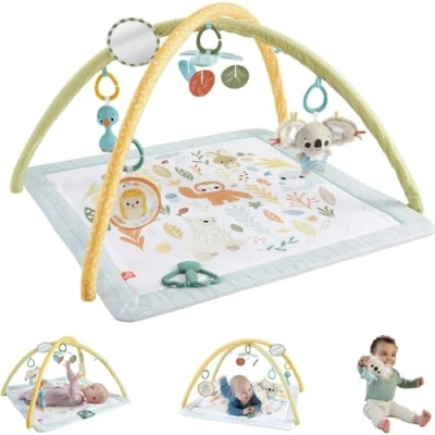 Image de Fisher Price Simply Senses Newborn Gym
