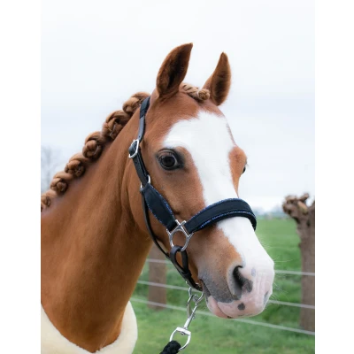 Image de HB Licol Showtime Velvet Little Sizes Noir/Marine Briller Shetland