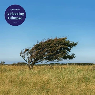 Afbeelding van Bjorn Riis A Fleeting Glimpse (LP)