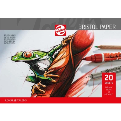 Afbeelding van Talens Bristol papier, 250 g/m², ft 21 x 29,7 cm (A4) tekenpapier