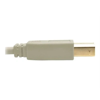 Image de Eaton Tripp Lite Series USB 2.0 A to B Cable (M/M), Beige, 6 ft. (1.83 m) Câble (M) pour type 1.83 m moulé beige