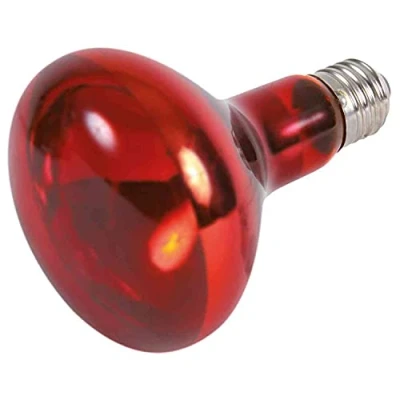 Afbeelding van Trixie Reptiland Warmtelamp Infrarood 150 WATT 9,5X9,5X13 CM (398778)
