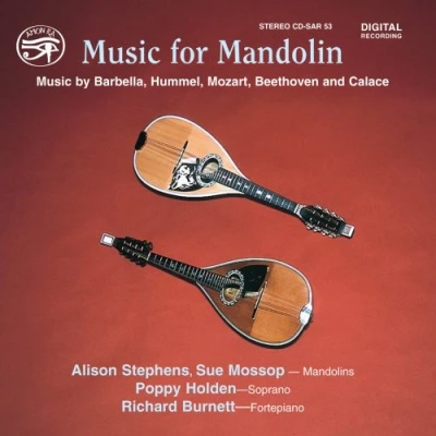 Afbeelding van Stephens, Mossop, Holden, Burnett Music For Mandolin (CD)