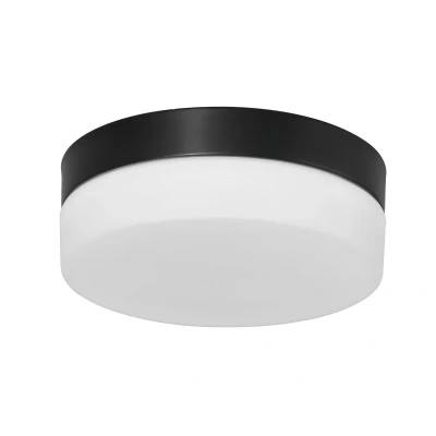 Afbeelding van Steinhauer Plafondlamp Ikaro Ø 24 cm IP44 zwart