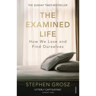 Afbeelding van Examined Life