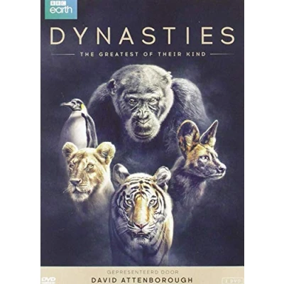 Afbeelding van Dynasties Seizoen 1 (DVD)