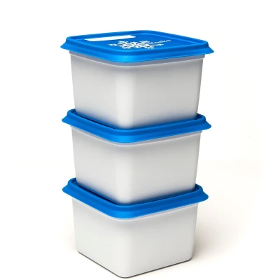 Afbeelding van Dbp Alaska Diepvriesdoos 750 Ml Set Van 3 Stuks