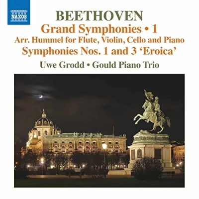 Afbeelding van Gould Piano Trio Uwe Grodd Grand Symphonies, Vol. 1 (CD)