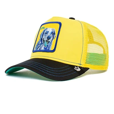 Afbeelding van Goorin Bros Trucker Doggy TRIP Pet, Heren, Maat: One Size, Gelb