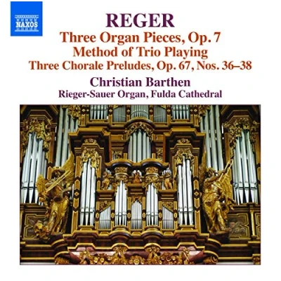 Afbeelding van Christian Barthen Organ Works Vol 16: Three Pieces Op 7; Metho (CD)