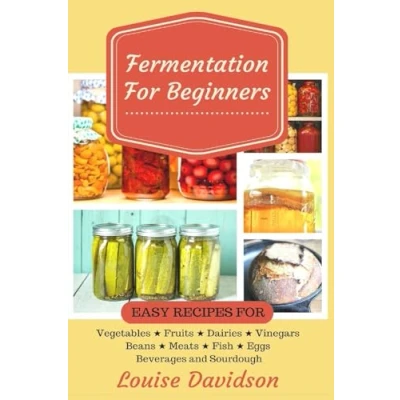 Afbeelding van Fermentation for Beginners