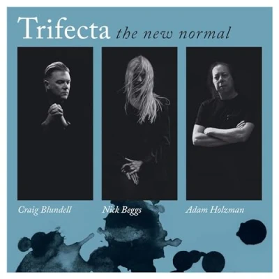 Afbeelding van Trifecta The New Normal (2 LPs)