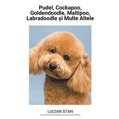 Afbeelding van Pudel, Cockapoo, Goldendoodle, Maltipoo, Labradoodle și Multe Altele