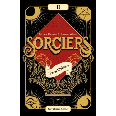 Image de Sorciers Tome 2 Terres oubliées