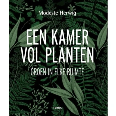Afbeelding van Een kamer vol planten