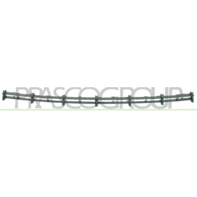 Afbeelding van PRASCO OP0172120 Bumper Grill Midden, Voor