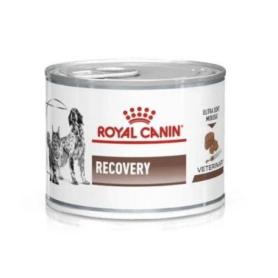 Afbeelding van Royal Canin Recovery Feline/Canine Kattenvoer 12 x 195 g