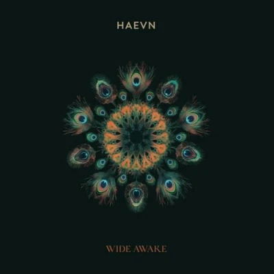 Afbeelding van Haevn Wide Awake (LP)